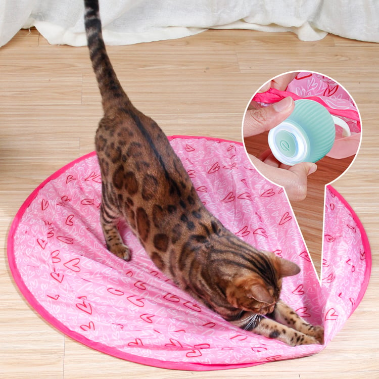 Last Sale - 2 in 1 Simulated Interactive hunting cat toy