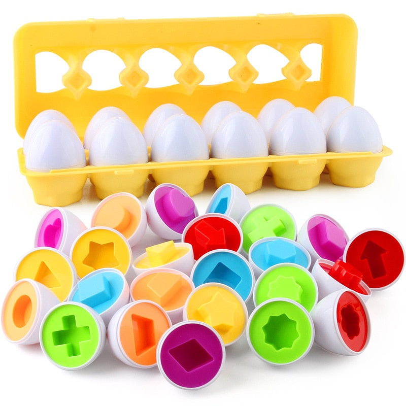 Montessori Eggs- Educational Eggs