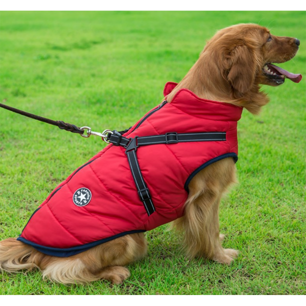 Mrmightypups - Waterproof Winter Jacket with Built-in Harness-Christmas Sale (50% OFF)