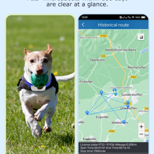 Osmo DoggoFind GPS Collar