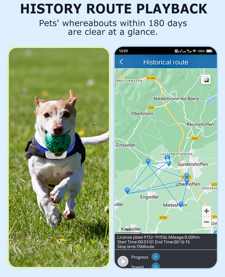 Osmo DoggoFind GPS Collar