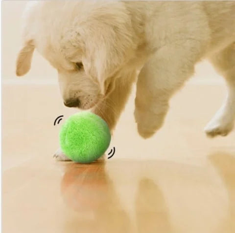 PassionForPets - Active Rolling Ball (4 Colours Included)