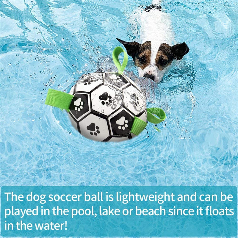 PawKick - Soccer Ball For Dogs