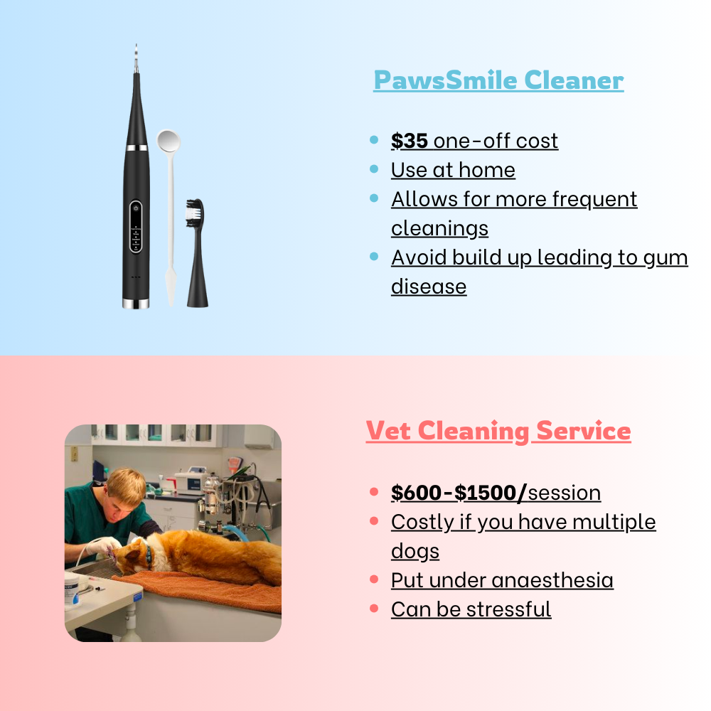 PawsSmile – Tooth Cleaner For Dogs