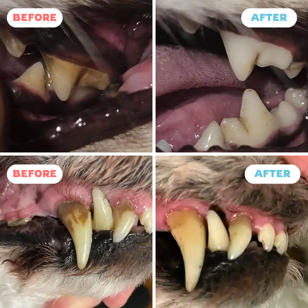 PawsSmile - Tooth Cleaner For Dogs