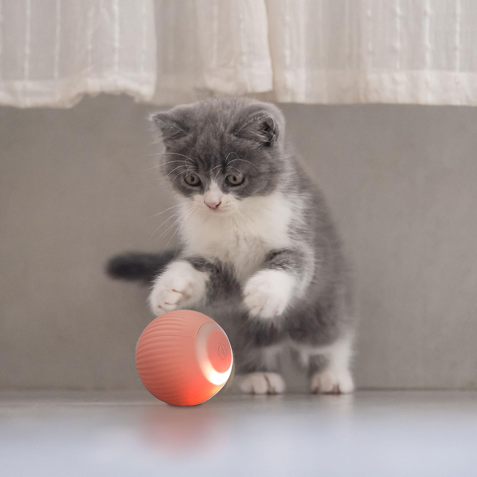 Purr Ball