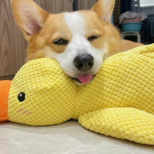 Quack-Quack Duck Dog Toy