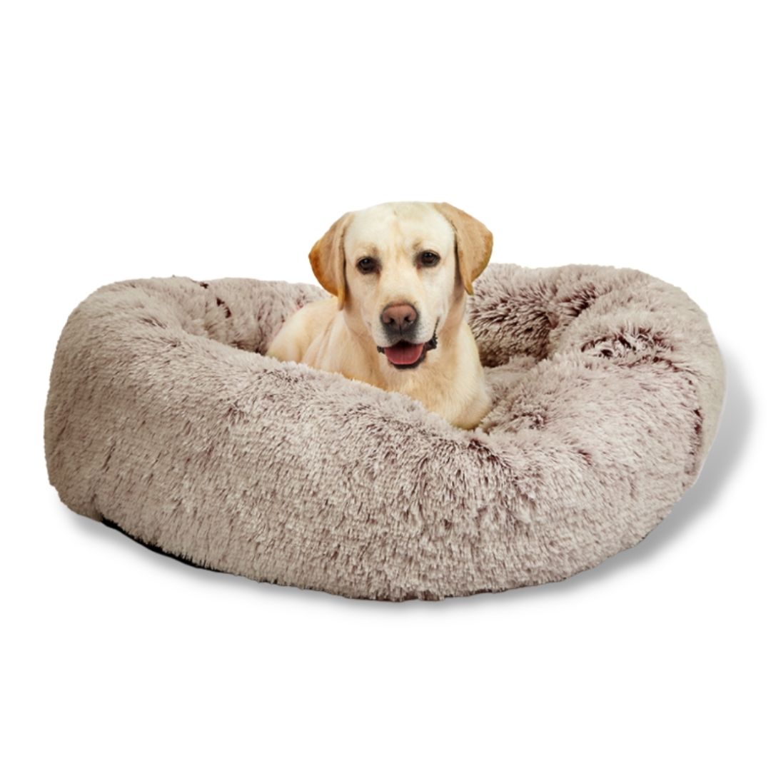 Removable Cover Premium Colour Calming Dog bed