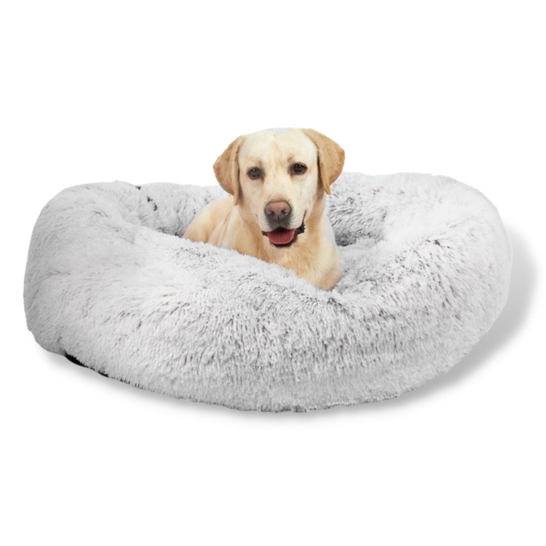 Removable Cover Premium Colour Calming Dog bed