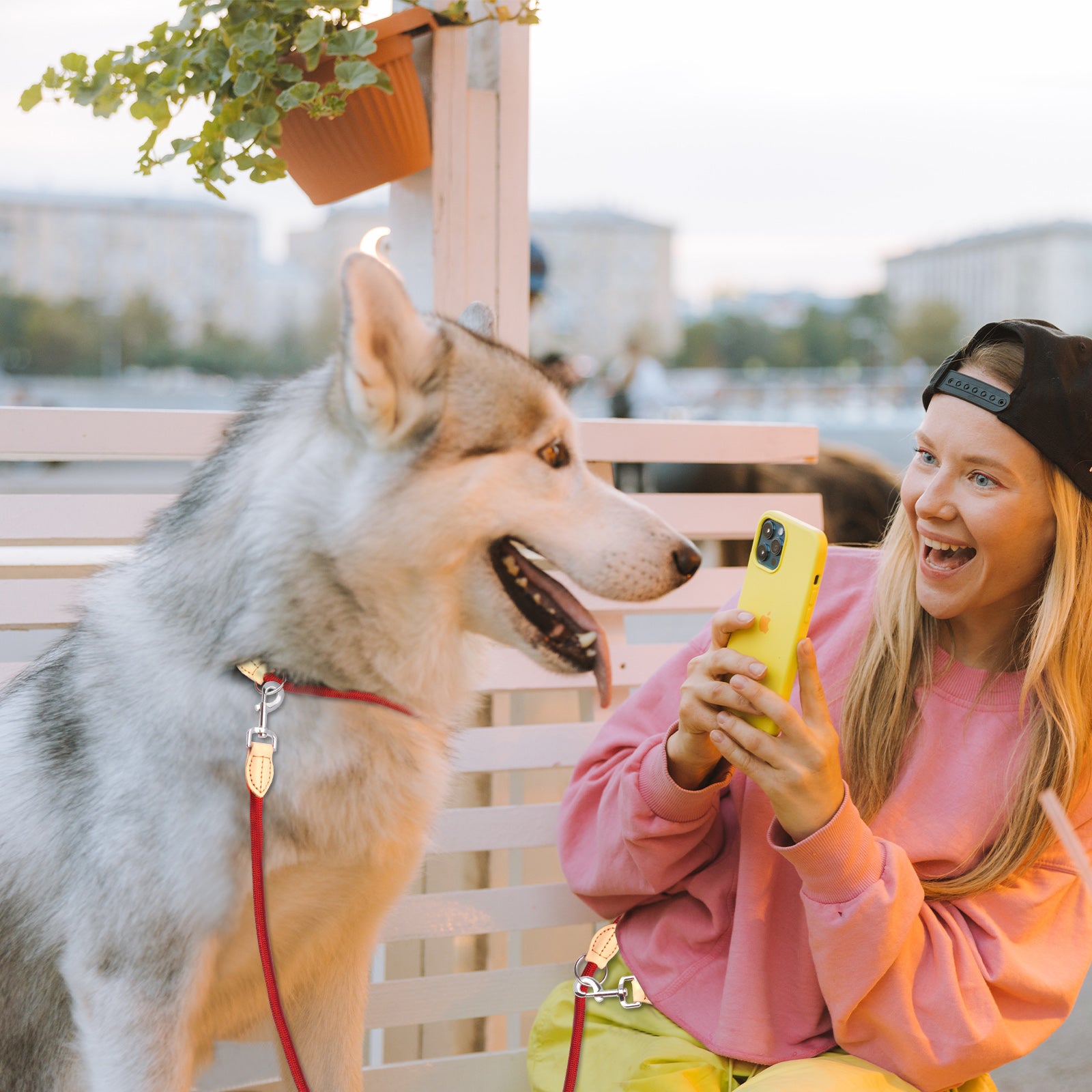 Snoozify Hands-Free Dog Leash