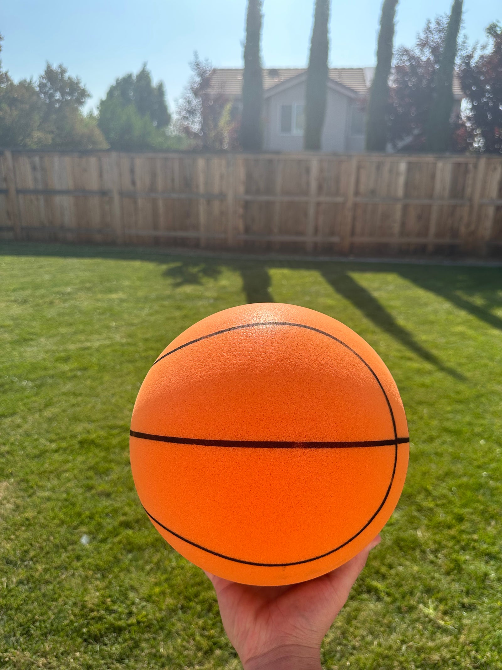 STEALTH SHOT BASKETBALL