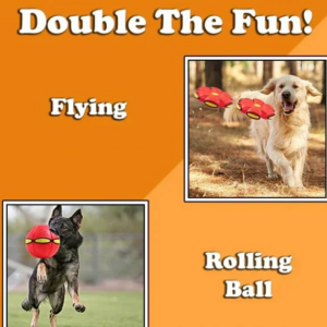 The Doggy Disc Ball