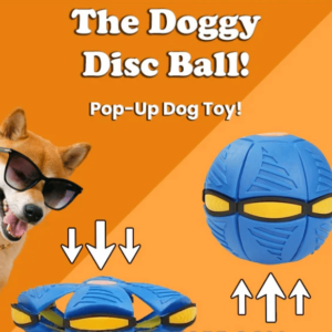 The Doggy Disc Ball