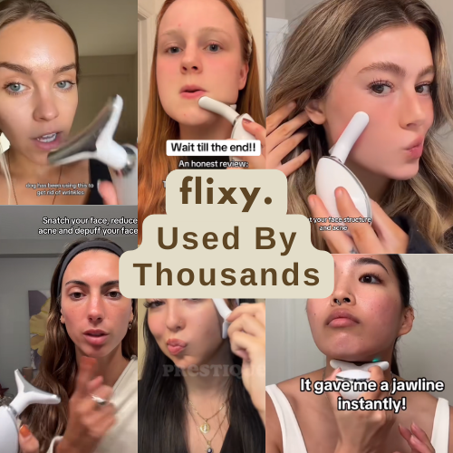 The Flixy – Face Sculptor