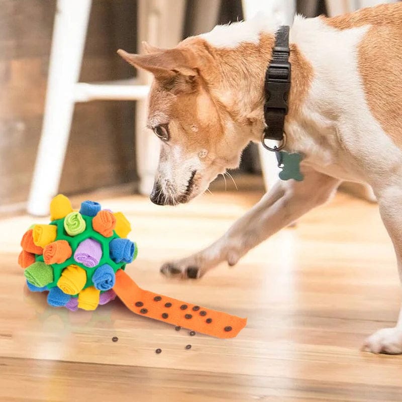 WaggleHound - Snuffle Ball Interactive Treat Game