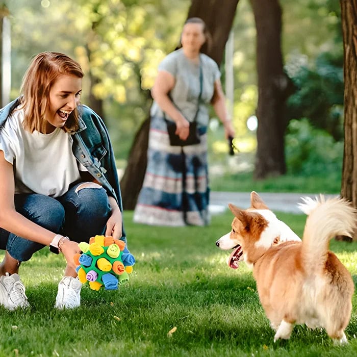 WaggleHound - Snuffle Ball Interactive Treat Game