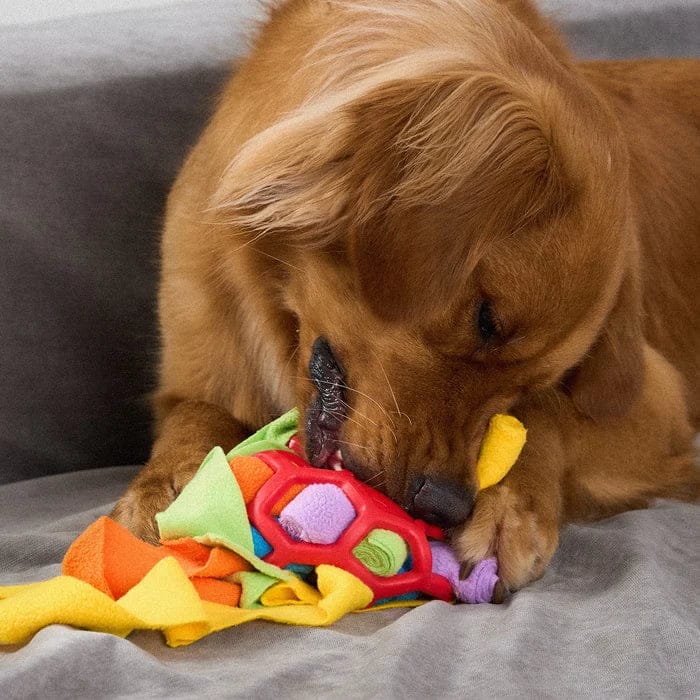 WaggleHound - Snuffle Ball Interactive Treat Game