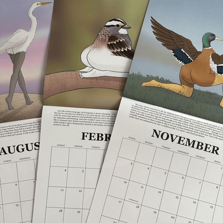 2024 THE “WEIRBIRDO” CALENDAR