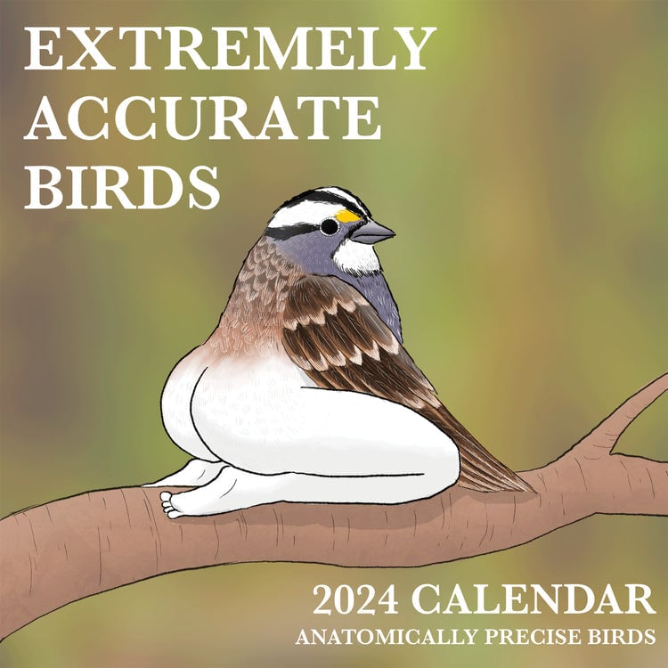 2024 THE "WEIRBIRDO" CALENDAR