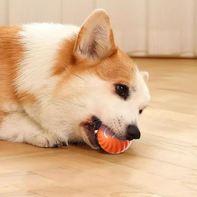 Automatic smart teasing dog ball that can't be bitten