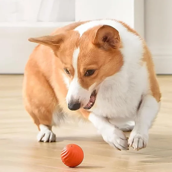 Automatic smart teasing dog ball that can't be bitten