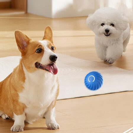 Automatic smart teasing dog ball that can't be bitten