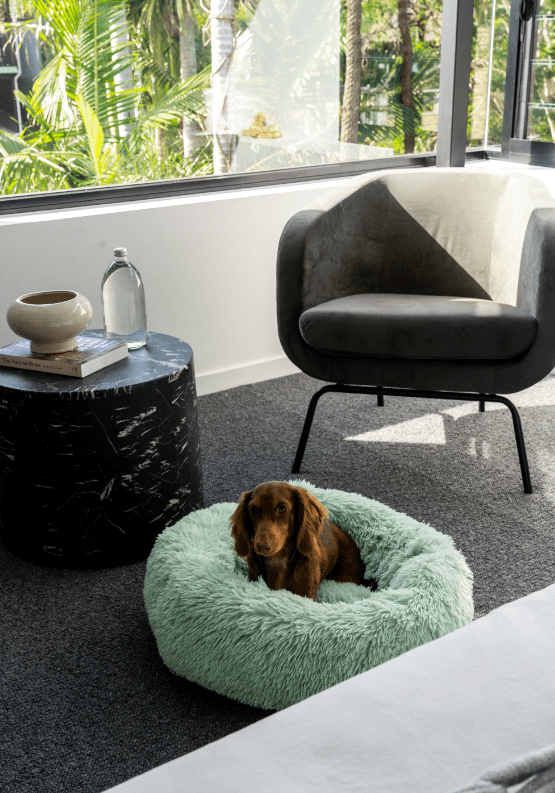 Calming Pet Bed