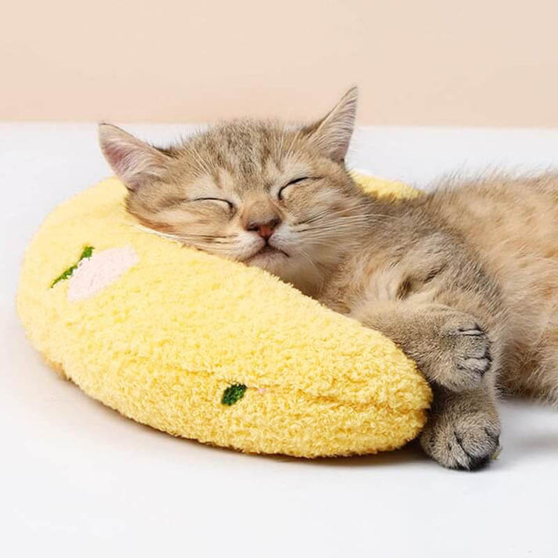 Cat Calming Pillow