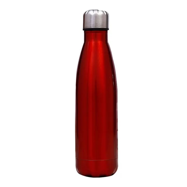 energize - stainless steel water bottle