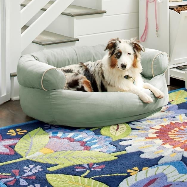 Factory Closing, Clearance Sales 70% OFF - Sofa Dog Bed