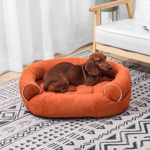 Factory Closing, Clearance Sales 70% OFF - Sofa Dog Bed