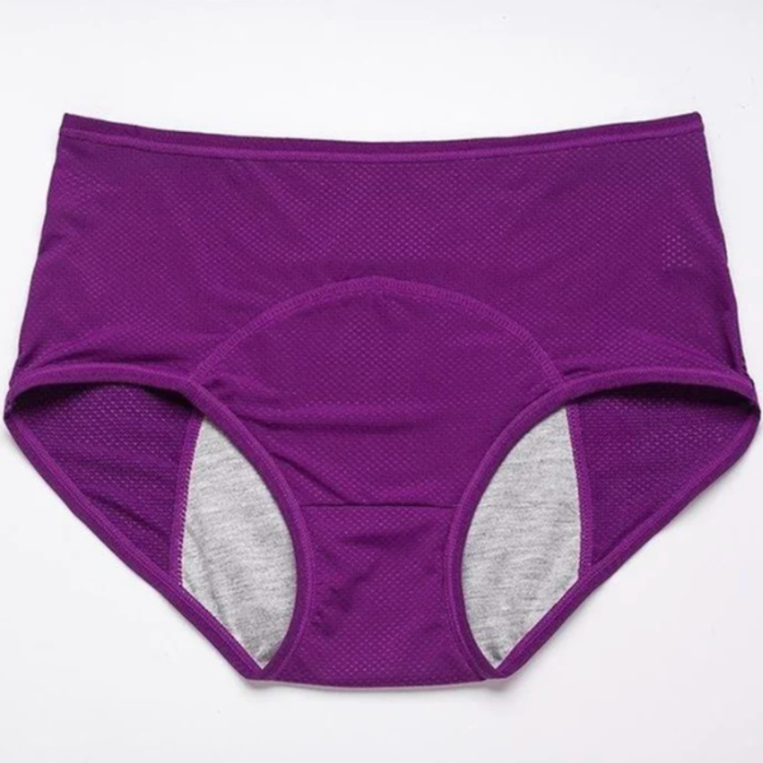 GuardianSilk Leakproof Panties