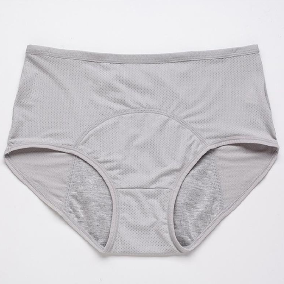 GuardianSilk Leakproof Panties