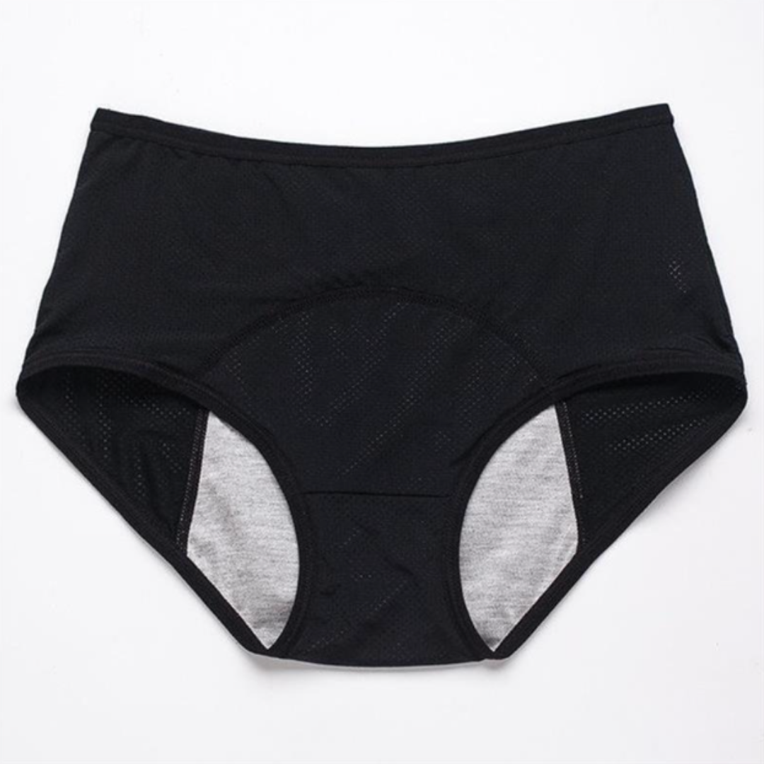 GuardianSilk Leakproof Panties