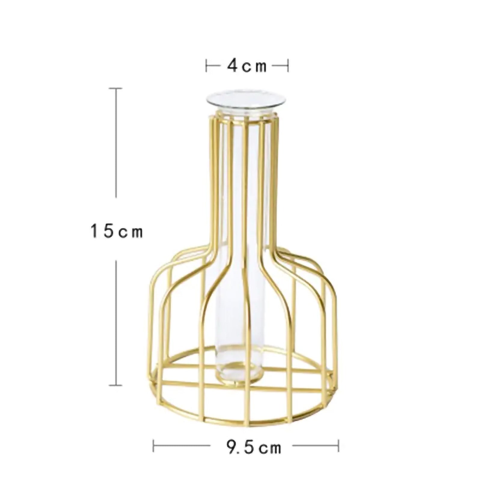 Iron Frame Hydroponic Vases