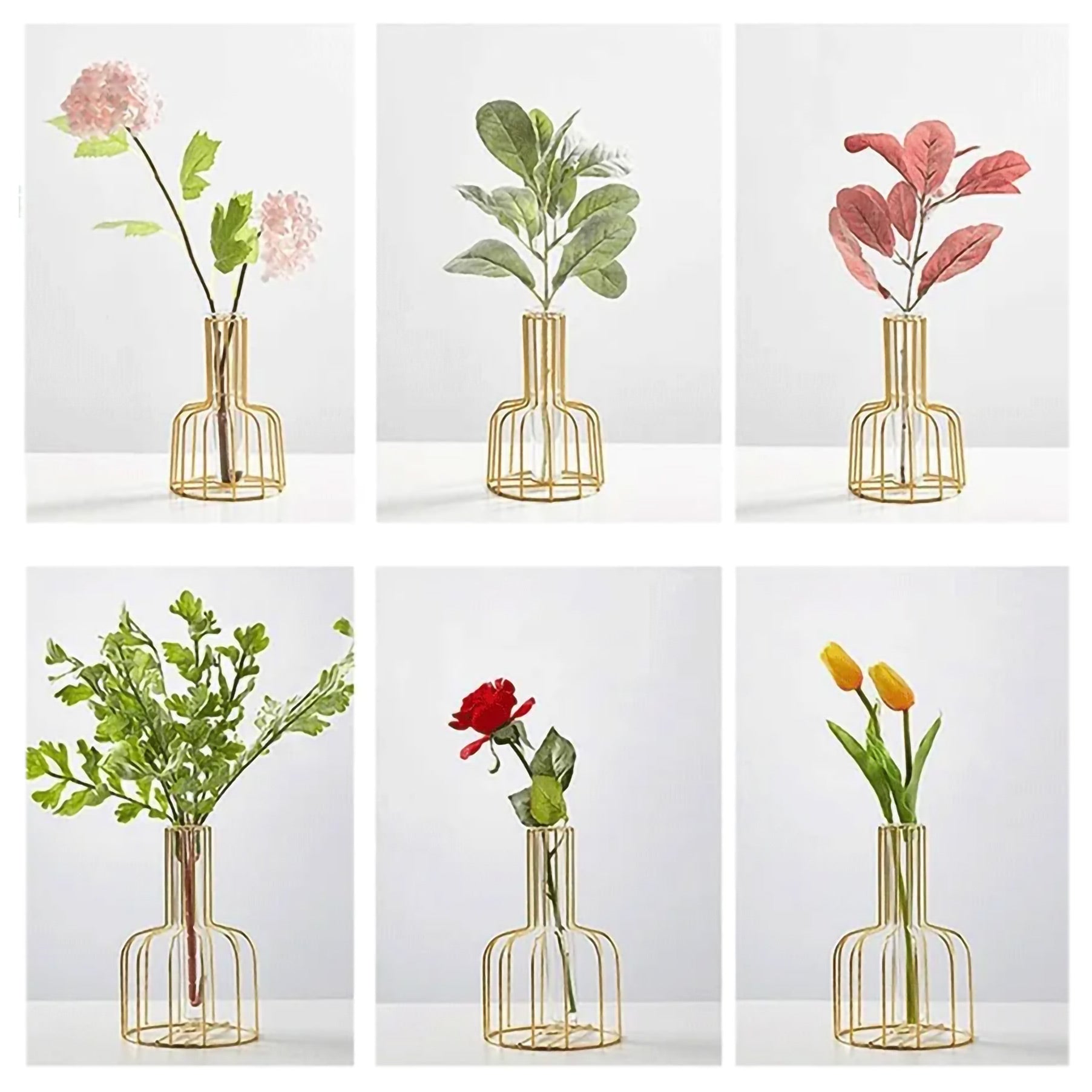 Iron Frame Hydroponic Vases