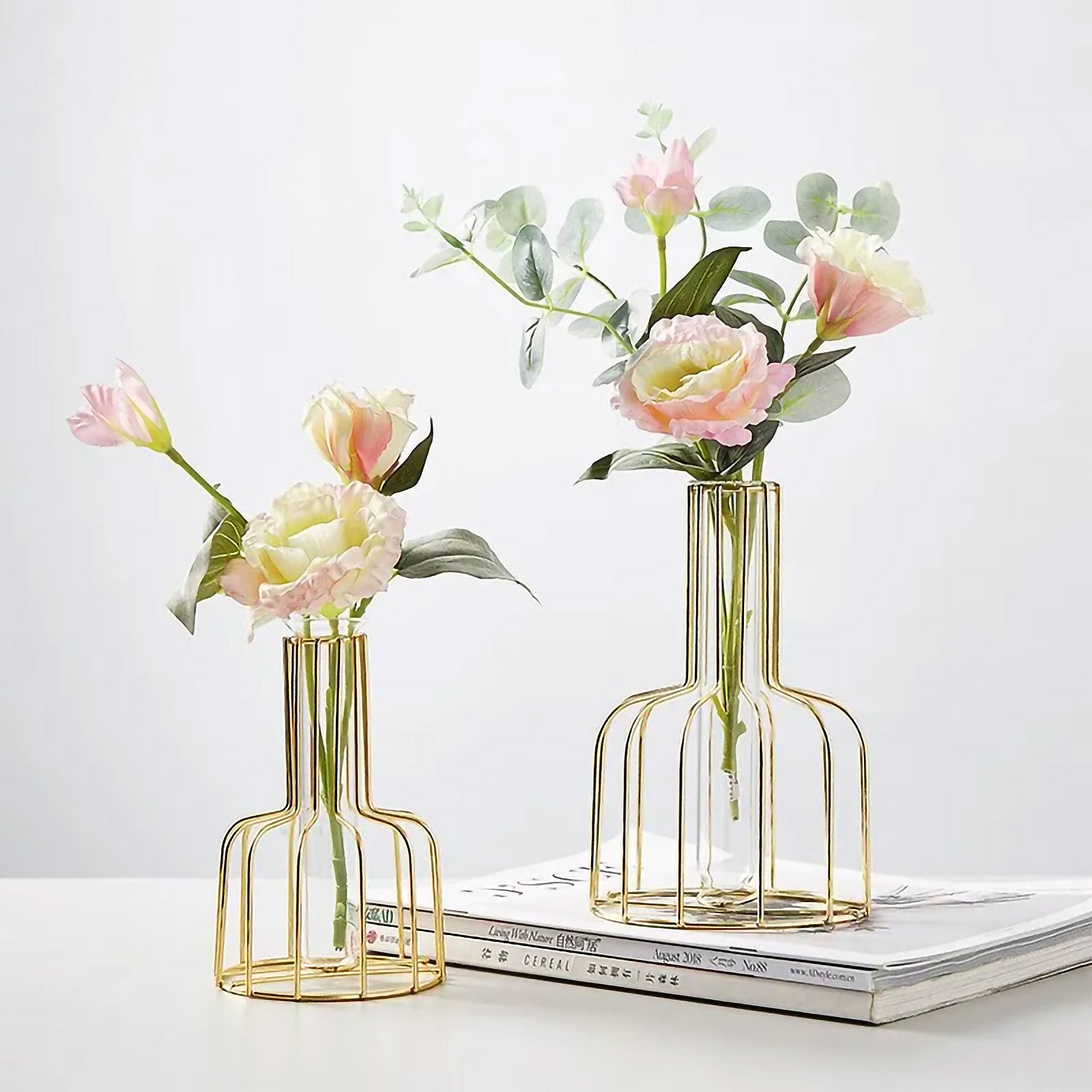 Iron Frame Hydroponic Vases