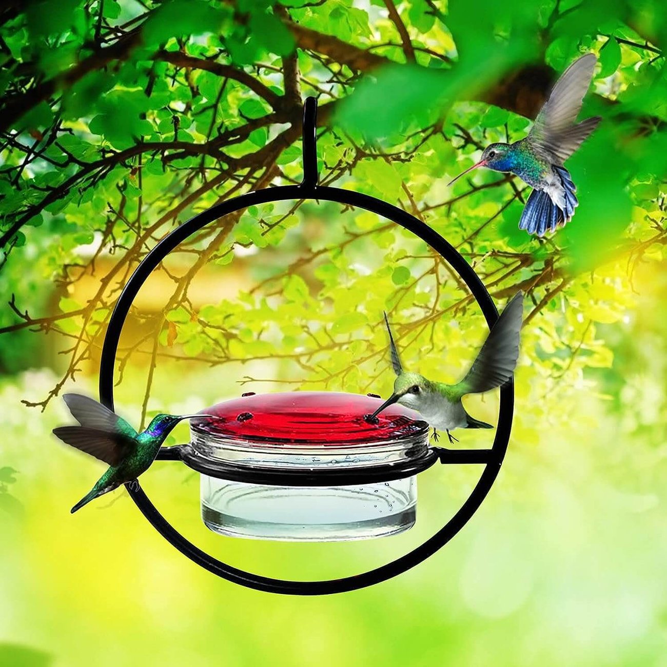 Last Day Promotion 70% OFF - Hummble Slim Hummingbird Feeder