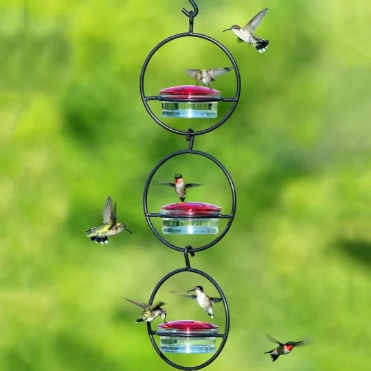 Last Day Promotion 70% OFF - Hummble Slim Hummingbird Feeder