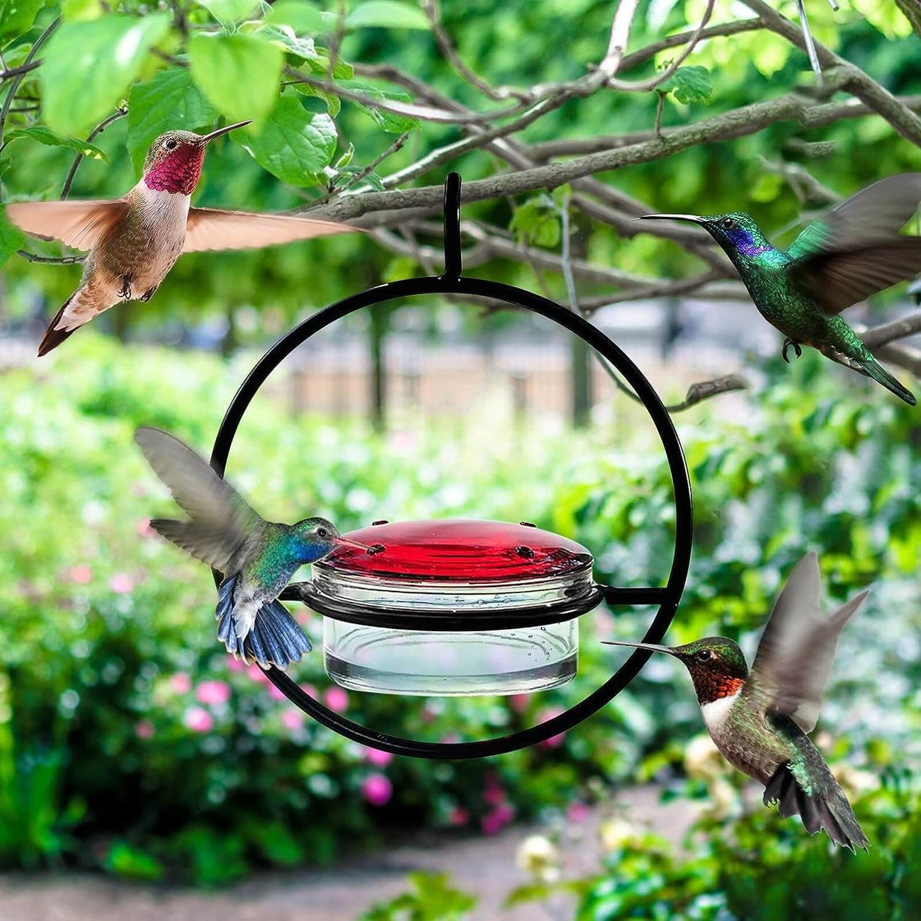 Last Day Promotion 70% OFF - Hummble Slim Hummingbird Feeder