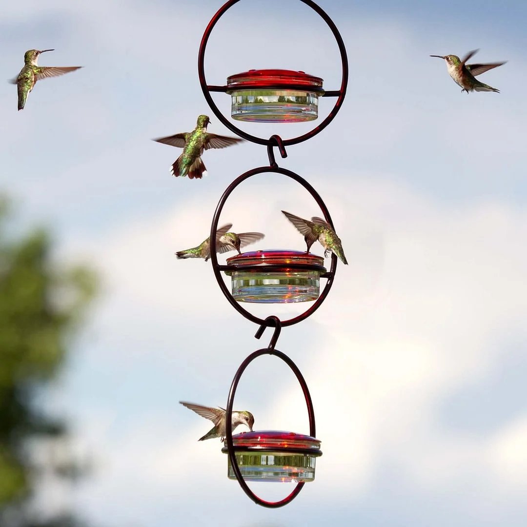 Last Day Promotion 70% OFF - Hummble Slim Hummingbird Feeder