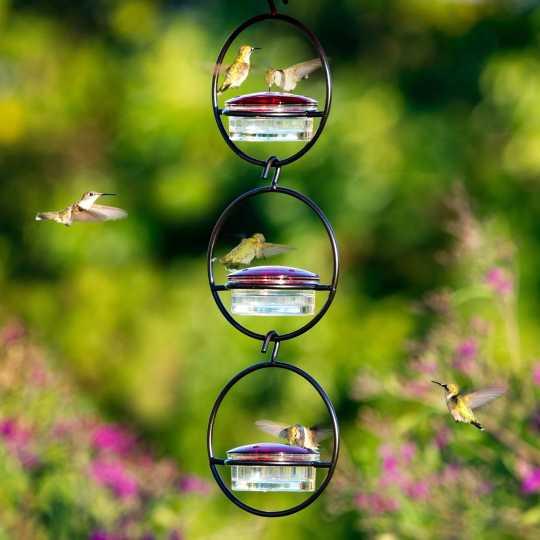 Last Day Promotion 70% OFF - Hummble Slim Hummingbird Feeder