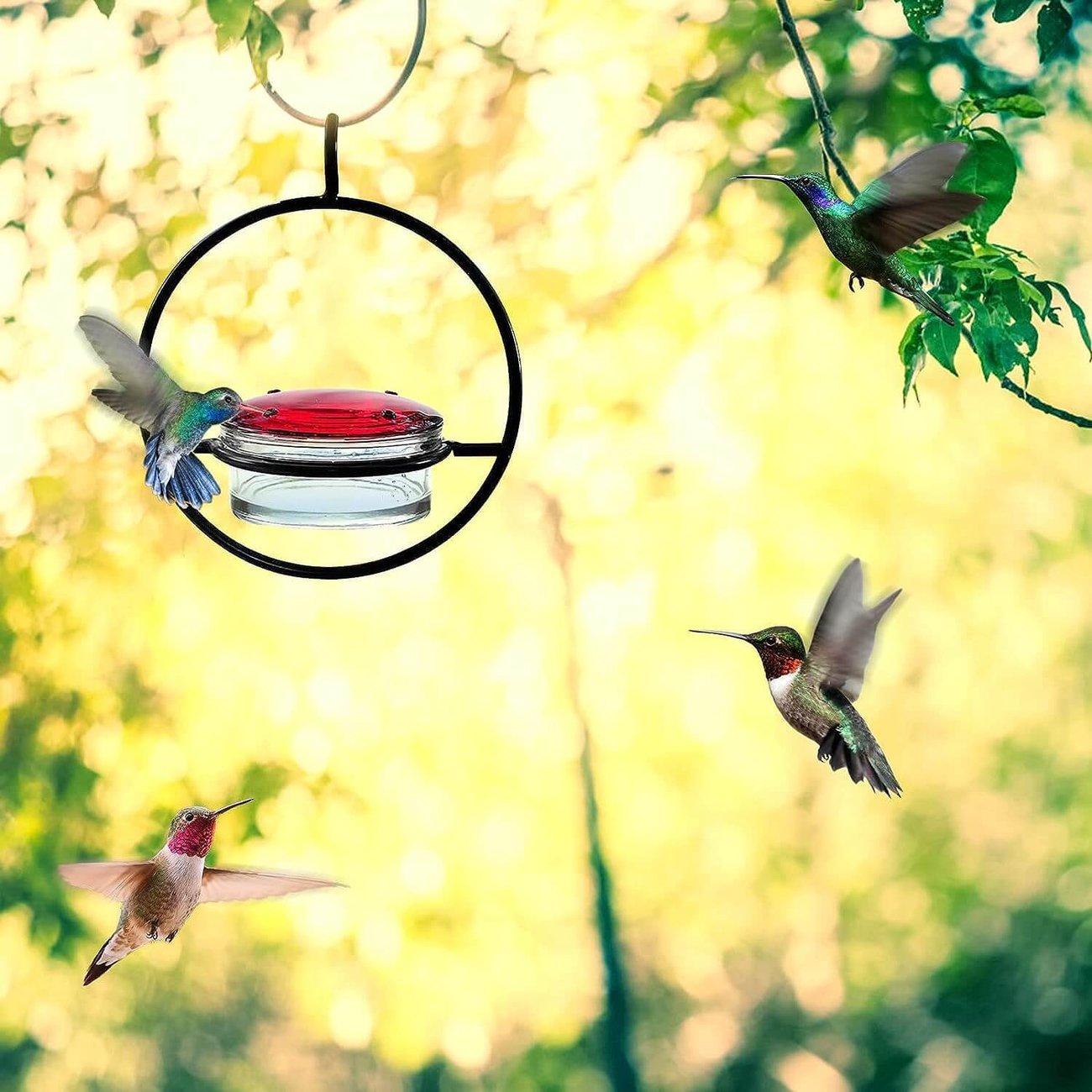 Last Day Promotion 70% OFF - Hummble Slim Hummingbird Feeder