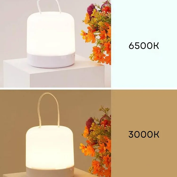 LED Portable Night Light