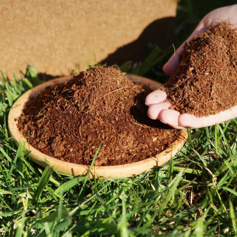 New Year Special Sale 49% OFF - Organic Coconut Coir for Plants