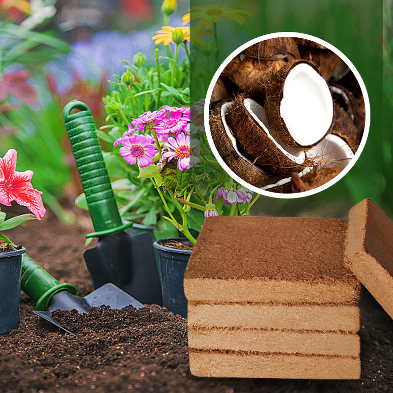 New Year Special Sale 49% OFF - Organic Coconut Coir for Plants