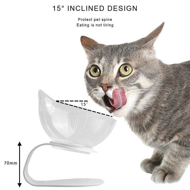 Orthopedic Double Cat Bowl With Raised Stand