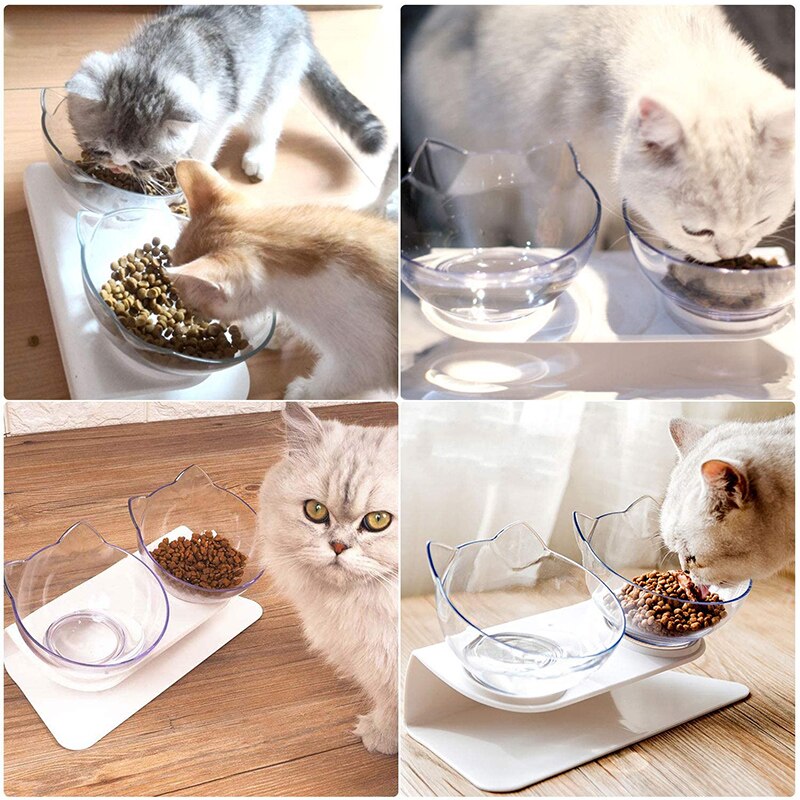 Orthopedic Double Cat Bowl With Raised Stand