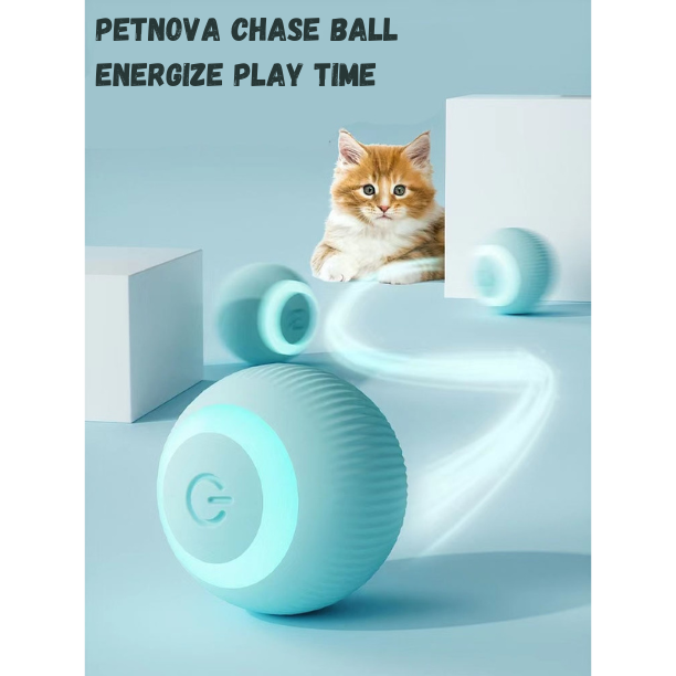 PetNova Chase Ball