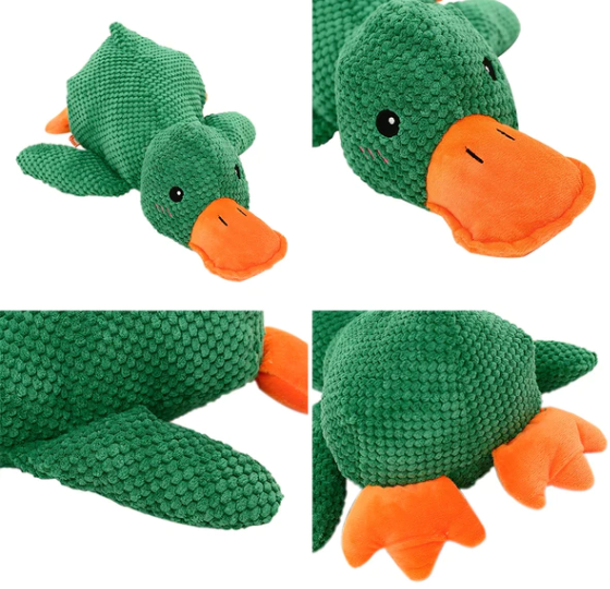 Quack-Quack Squeaky Dog Toy